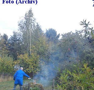Laubfeuer im Garten